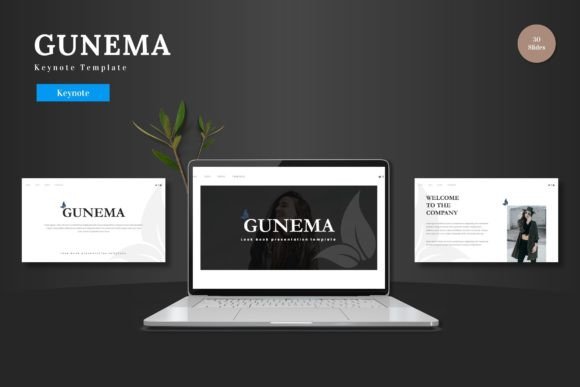 Gunema Keynote Template: A Visual Toolkit for Polished Presentations